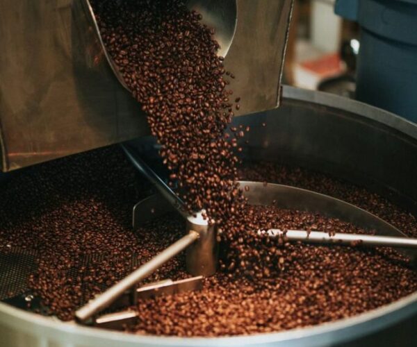 Galeri Maja Kupi New (3)